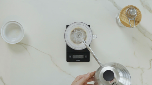 Matt Winton - V60 Drip Assist Recipe