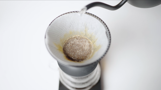Alternative Brewing - V60 NEO