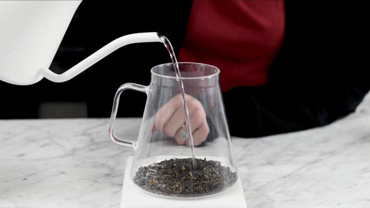 Prima Coffee Supply - Clear Tea Pot