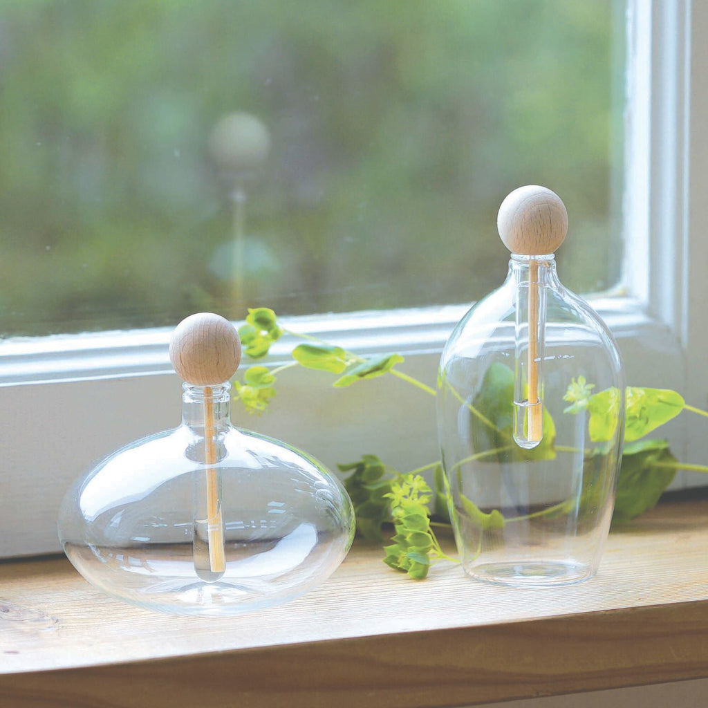 Two glass diffusers, one oval shaped and one tuxedo shaped,with natural wood inserts set on a wood windowsill with a green vining plant.