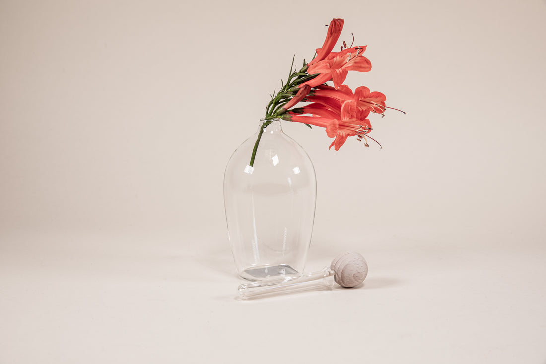 Tuxedo shaped glass diffuser with coral flower arrangement and natural wood insert set in front of it in glass stem.