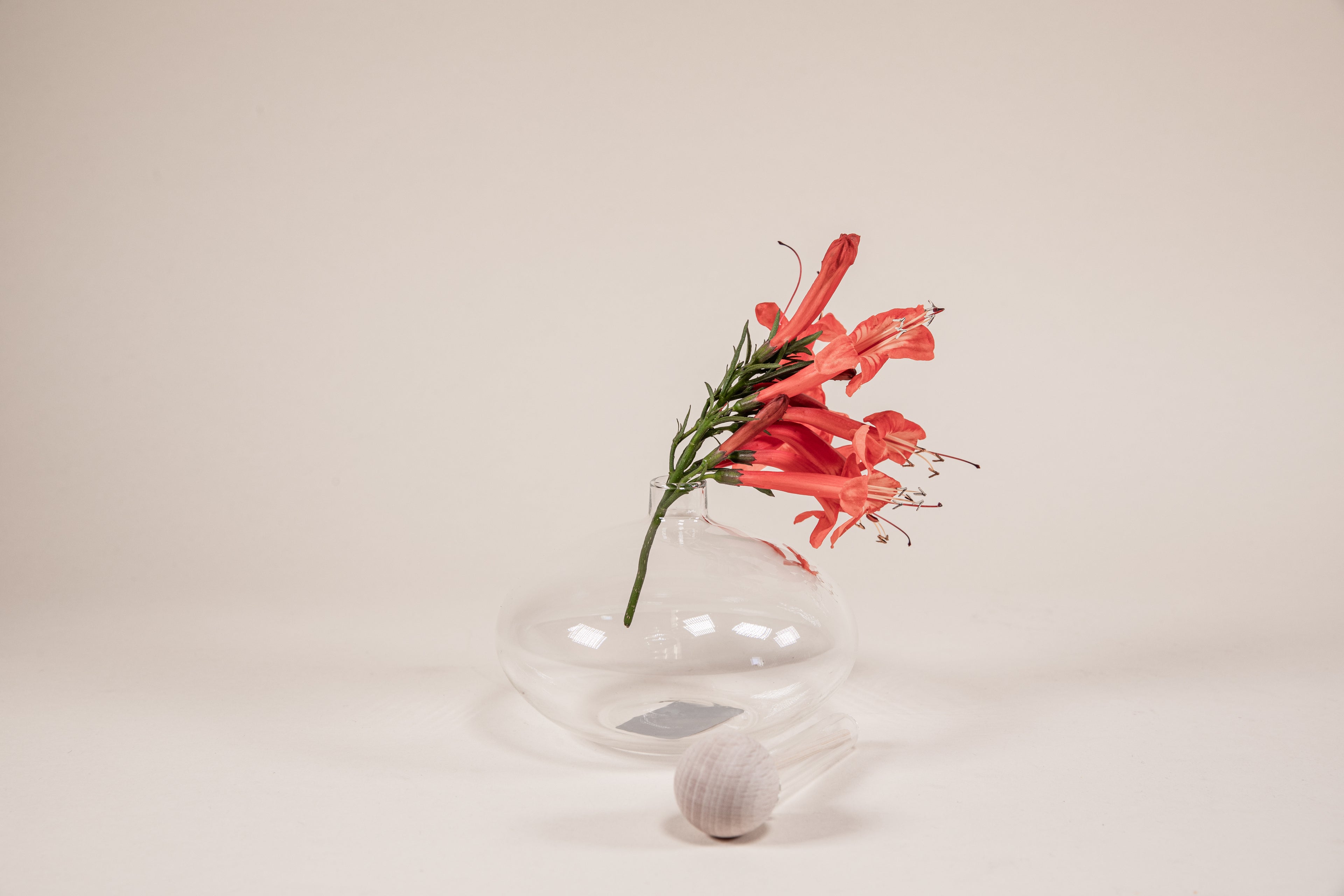 Red flowers with green stem inside an oval shaped glass diffuser with natural wood wand and round knob.