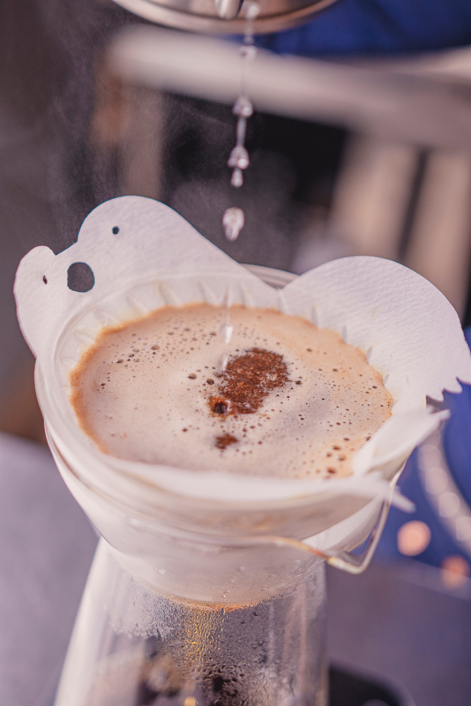 Brewing coffee inside a white cone paper filter, shaped into two birds kissing at the top, and seated in a glass cone-shaped dripper with glass carafe.