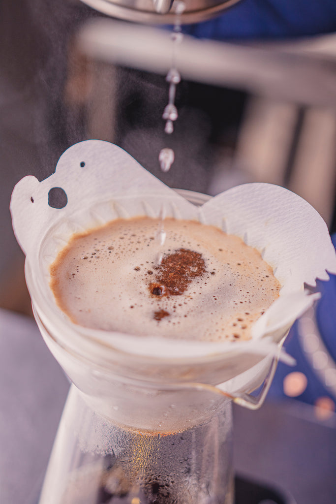 Brewing coffee inside a white cone paper filter, shaped into two birds kissing at the top, and seated in a glass cone-shaped dripper with glass carafe.