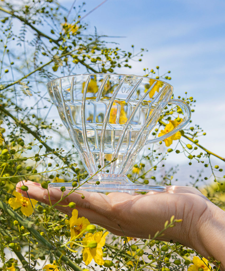 Clear all plastic cone shaped dripper with handle and round base on a model's hand with an outdoor background of blue sky and a yellow flowering bush.
