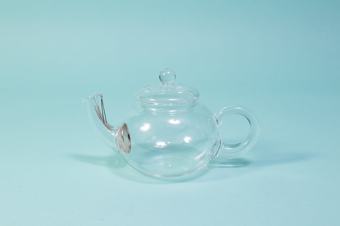 Round glass teapot with stainless steel filter mesh and spring with hook attached in the curved elephant-trunk shaped spout.